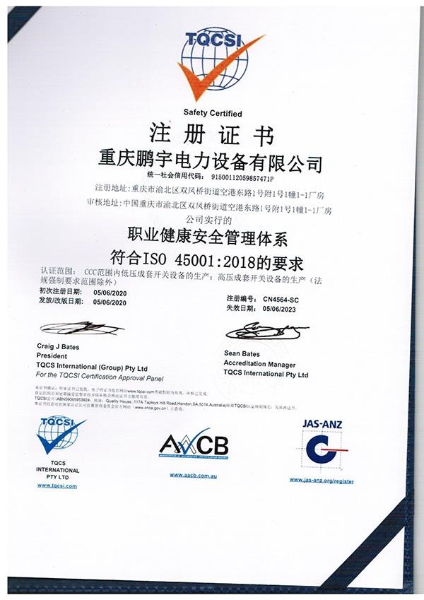職業(yè)健康體系證書
